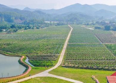 广州市幸福田园蔬菜现代农业产业园区项目